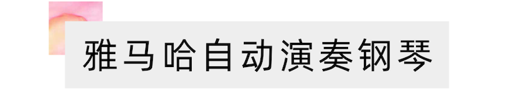活动报道 | 远程艺术教育大师课活动—GA黄金甲教育家崔岚大师课